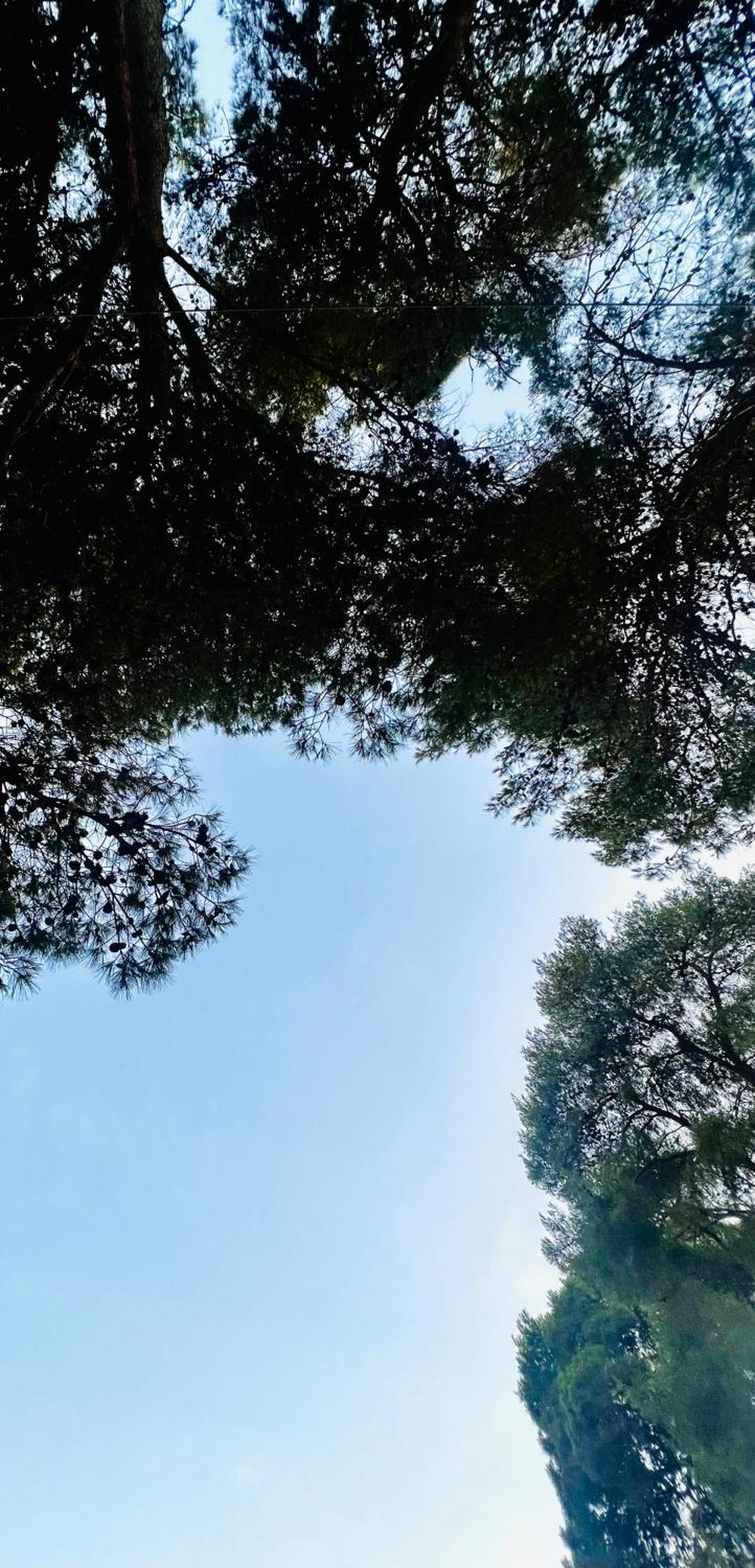 Pinea B&B 卡斯特拉巴特滨海 外观 照片